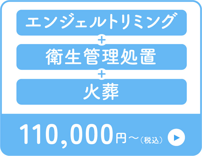 Aプランはトリミングと衛生管理処置と火葬