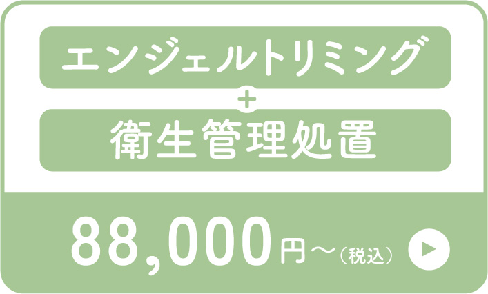 Bプランはトリミングと衛生管理処置