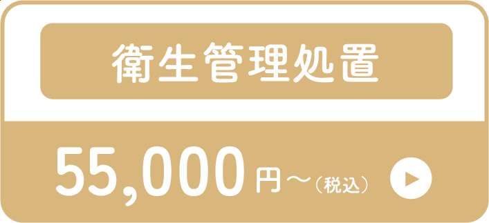 Dプラン